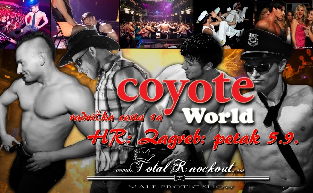 Total Knockout u Coyote world